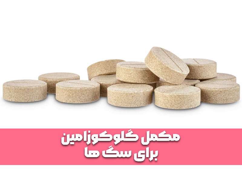 مکمل گلوکوزامین برای سگ ها